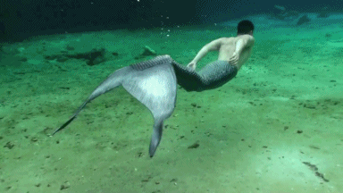 bubble fish_tail male mermaid merman no_feet real solo underwater water