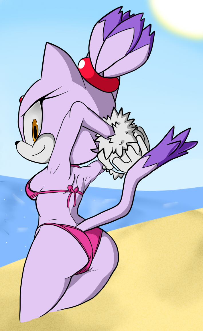anthro beach bikini blaze_the_cat breasts but butt color colored_by_dmiller22 dmiller22_colour female invalid_background looking_at_viewer marthedog seaside sega side_boob smile solo sonic_(series) stretching swimsuit
