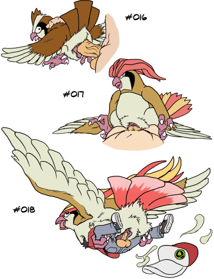 avian balls bestiality bird brown_feathers clothed clothing cowgirl_position duo female female_on_top feral flying from_behind hat human interspecies josemalvado male mammal nintendo on_top penetration pidgeot pidgeotto pidgey plain_background pok&#233;mon pok&#233;philia pok&eacute;mon pok&eacute;philia pussy sex size_difference straddling straight text vaginal vaginal_penetration video_games white_background white_feathers