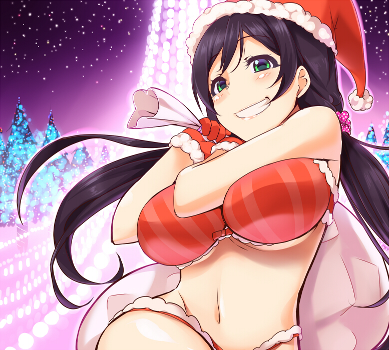 black_hair bra breasts gloves green_eyes grin haruichi hat large_breasts long_hair love_live! love_live!_school_idol_project navel panties red_bra red_gloves red_hat red_panties sack santa_costume santa_hat smile solo toujou_nozomi twintails underwear