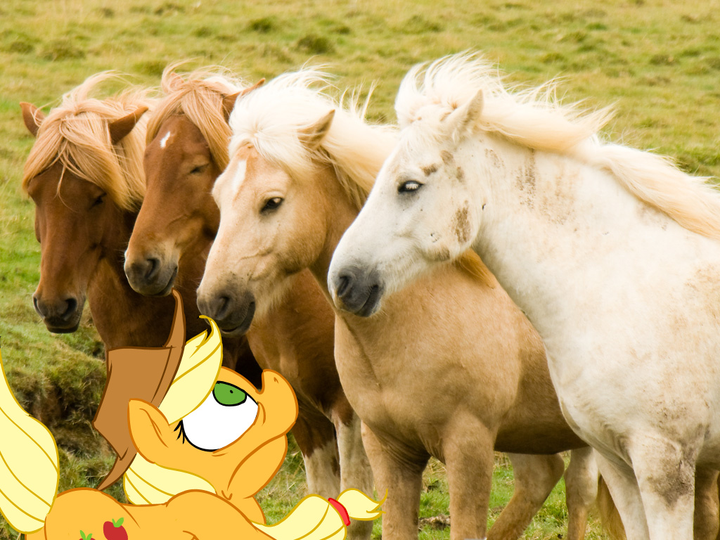 applejack_(mlp) blonde_hair confused conicer cutie_mark equine feral friendship_is_magic green_eyes group hair horse mammal my_little_pony pony shocked