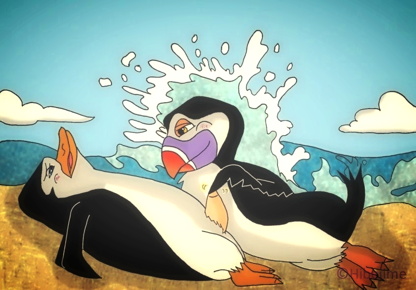 ambiguous_gender beach blush duo hans male penguin penis puffin rubbing sea seaside sex skipper smirk the_penguins_of_madagascar water
