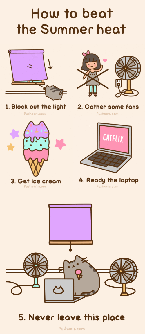 ambiguous_gender animated black_hair blush cat clothed clothing computer cub cute edit english_text feline female hair human ice_cream laptop mammal pusheen pusheen_corp simple_background text the_truth young