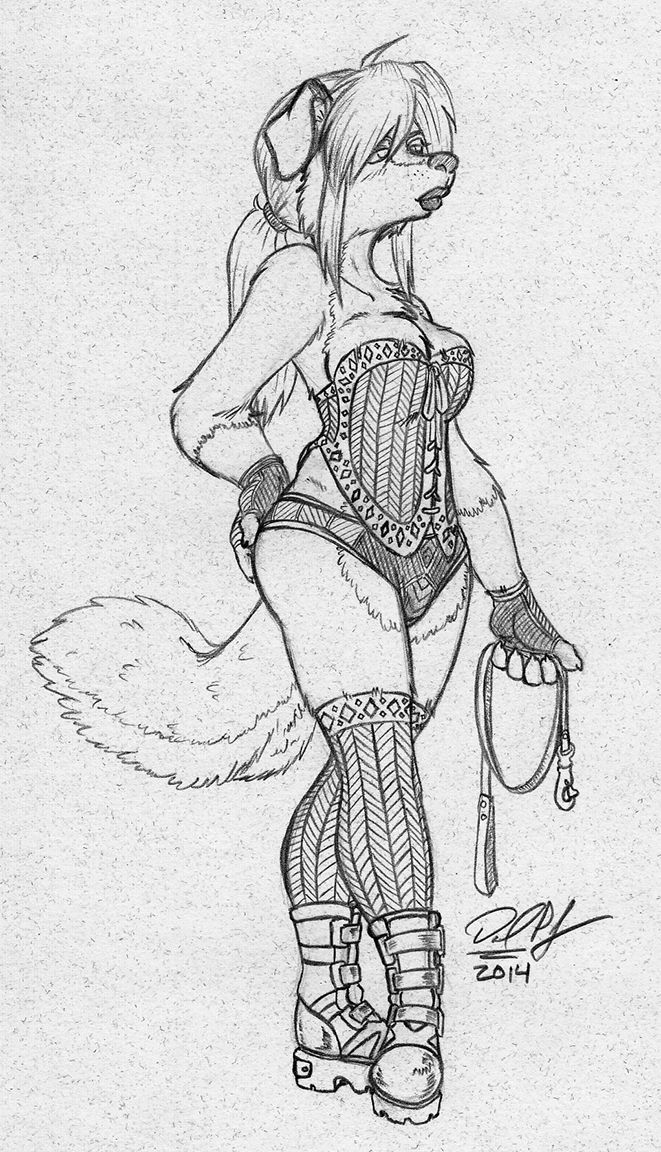 anthro big_breasts boots border_collie breasts canine cleavage clothed clothing corset cskairi dog female gloves leash legwear mammal panties ponytail shenjii stockings underwear