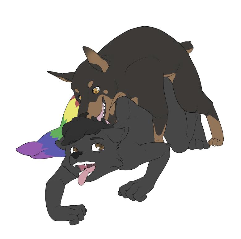 anal anthro anthro_on_feral bestiality canine doberman dog duo feral from_behind gay inazuma_okami interspecies male mammal nude open_mouth orange_eyes plain_background rainbow_tail sex soroxel tongue tongue_out white_background wolf