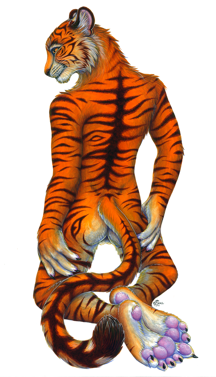 5_toes anthro back backsack balls butt claws feline foot_focus fur hindpaw kneeling male mammal orange_fur pawpads paws phantasmic plain_background soles solo tiger toes whiskers white_background