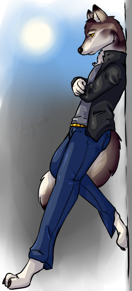 anthro canine clothing fur jacket jeans k kamikitty looking_down male mammal queenkami solo wolf