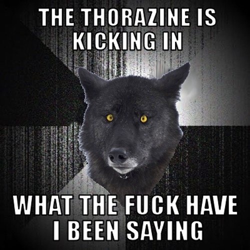 canine meme tagme text wolf