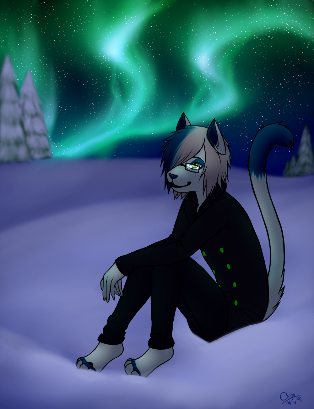 black_jeans cat chiroina chyo eyewear feline frost glasses male mammal night pea_coat sitting sky skye snow stars watching