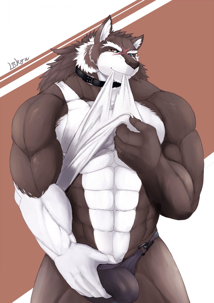 abs amber_eyes anthro biceps big_muscles black_nose blue_eyes brown_fur bulge canine claws clothing collar fur grin heterochromia lokya looking_at_viewer male mammal multicolor_fur muscles pecs pinup pose raised_shirt shirt shirt_lift smile solo standing tank_top toned torn_clothing two_tone_fur underwear white_fur wolf