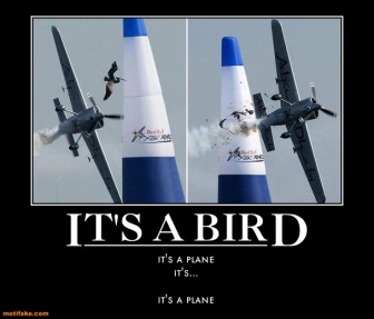 aircraft airplane airshow avian bird collision fixed_landing_gear prop-airplane quote right_turn single_seat wide_body