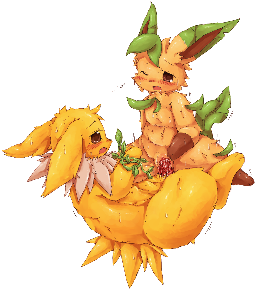brown_eyes brown_fur cowgirl_position cum cum_in_pussy cum_inside duo eeveelution erection female feral feral_on_feral fur jolteon leaf leafeon male nintendo nude on_top one_eye_closed open_mouth penetration penis plain_background pok&#233;mon pok&eacute;mon sex straddling straight sweat vaginal vaginal_penetration video_games wahitouppe white_background yellow_fur