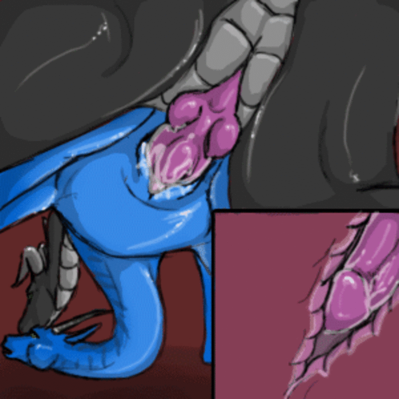 clitoris cum cum_inside dracasis dragon duo female feral feral_on_feral from_behind internal knot locarbquine low-angle_shot male open_mouth penetration penis pussy pussy_juice sex straight vaginal vaginal_penetration wet