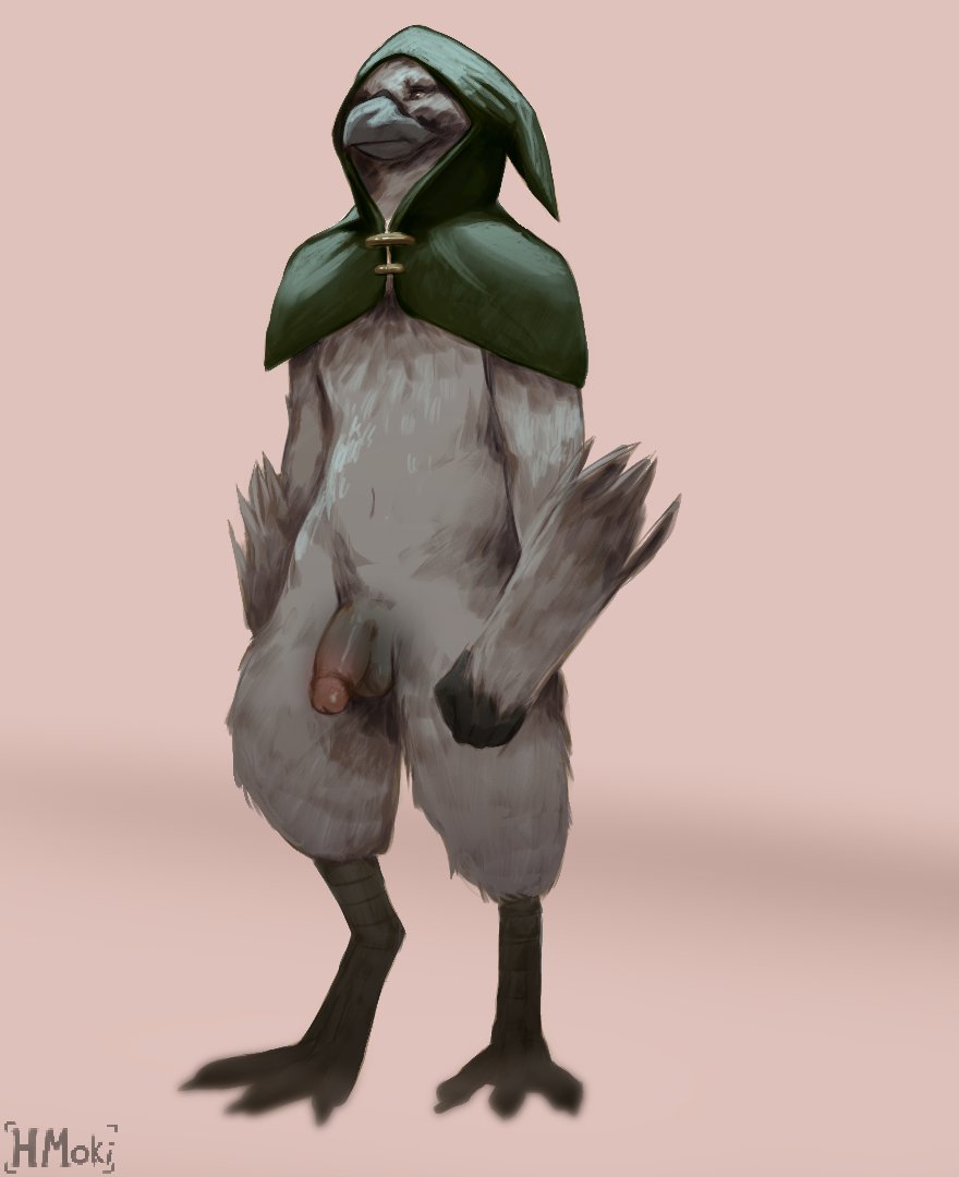 anthro avian balls character_rudrin circumcised clothing genitals herrmoki hoodie male model_sheet nude penis pose solo standing topwear