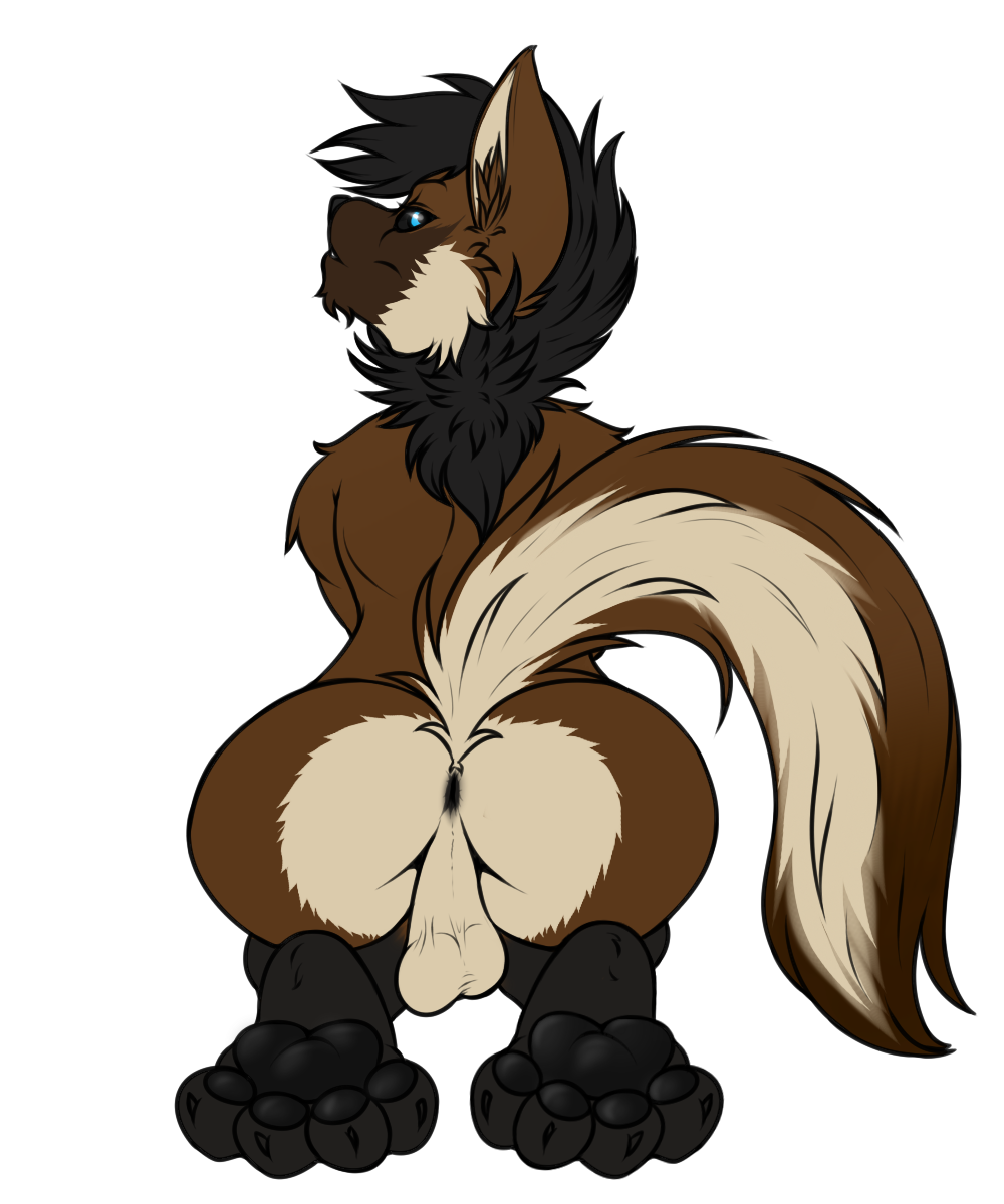 anus backsack balls baroque bbd black_anus black_hair black_sclera blue_eyes brown_fur butt canine claws digitigrade foot_focus fur girly hair hindpaw looking_back male mammal maned_wolf nude paws plain_background presenting presenting_hindquarters soles solo toes white_background white_fur