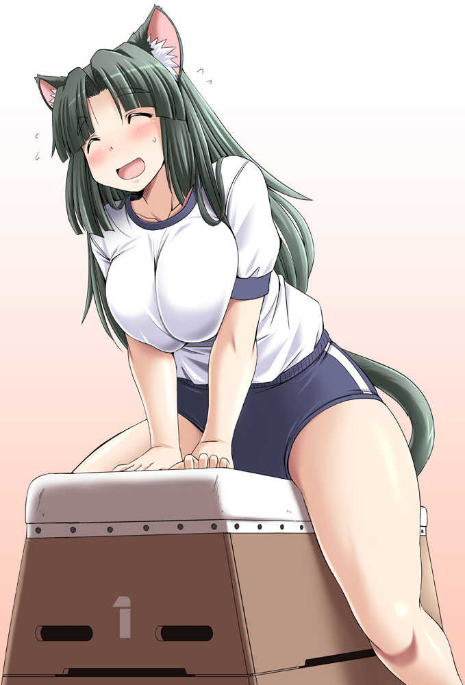 1girl animal_ears blush breasts buruma cat_ears cat_tail eyes_closed flying_sweatdrops frown green_hair gym_uniform large_breasts long_hair milk_(tonpuu) original plump sitting smile solo sweatdrop tail tonpuu vaulting_horse