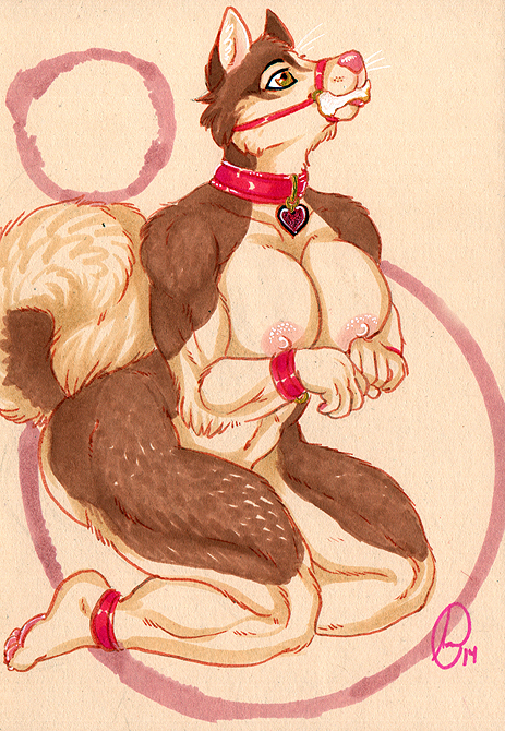 anthro areola bound breasts canine dog female gravewalker husky kneeling looking_up mammal nipples solo