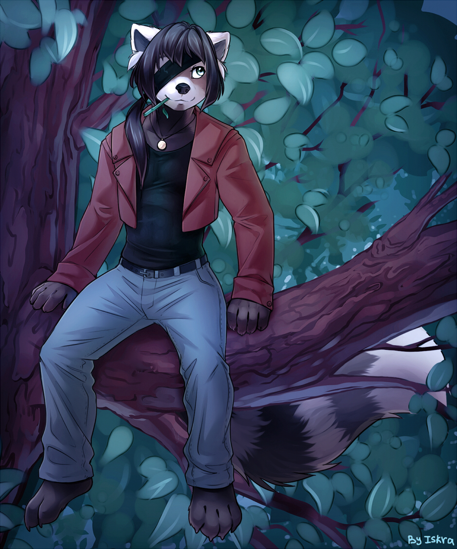 anthro bamboo barefoot belt black_hair branch buttons clothing cool eye_patch eyewear green_eyes hair iskra jacket leaf leaves long_tail looking_up male mammal moonlight necklace night outside pants paws plantigrade puffy_tail red_panda relaxing shirt sitting smile snack solo tank_top tight_clothing tree zaldin_urn