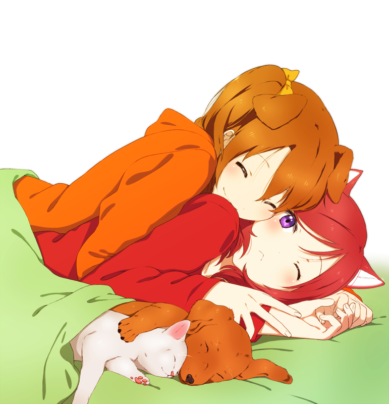 ;&lt; ^_^ animal animal_ears animal_hug bad_id bad_pixiv_id bed bed_sheet blanket blush brown_hair cat cat_ears closed_eyes dog dog_ears frown girl_on_top hair_ribbon holding_hands hood hoodie hug inuzuka_bouru kemonomimi_mode kousaka_honoka long_hair long_sleeves looking_at_viewer love_live! love_live!_school_idol_project lying_on_person multiple_girls nishikino_maki on_bed parted_lips purple_eyes red_hair ribbon smile sweater white_background wince yuri