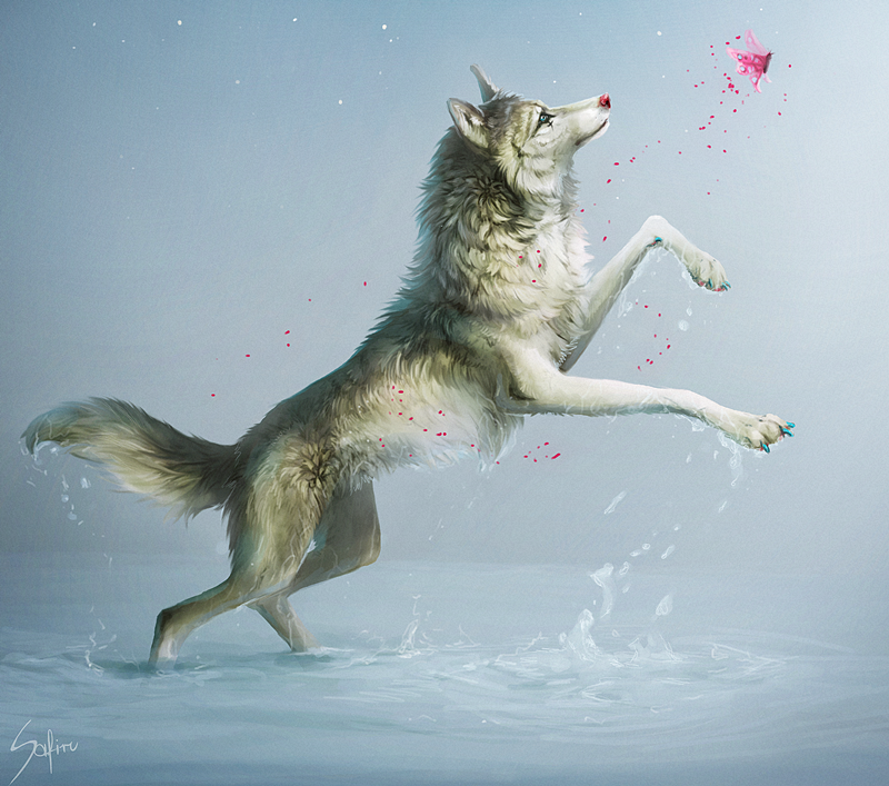 butterfly canine chasing cute dog flying fur gradient_background grey_fur insect invalid_color mammal pink_nose safiru water wolf