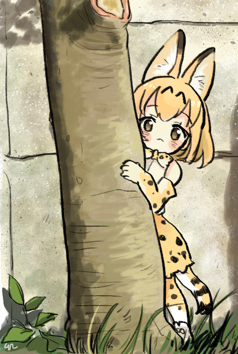 1girl :&lt; animal_ear_fluff animal_ears behind_tree black_hair blush commentary day elbow_gloves eyebrows_visible_through_hair gloves grass high-waist_skirt kemono_friends korean_commentary multicolored_hair outdoors peeking_out photo-referenced san_sami serval_(kemono_friends) serval_ears serval_print serval_tail short_hair short_sleeves skirt smile solo tail tree yellow_eyes