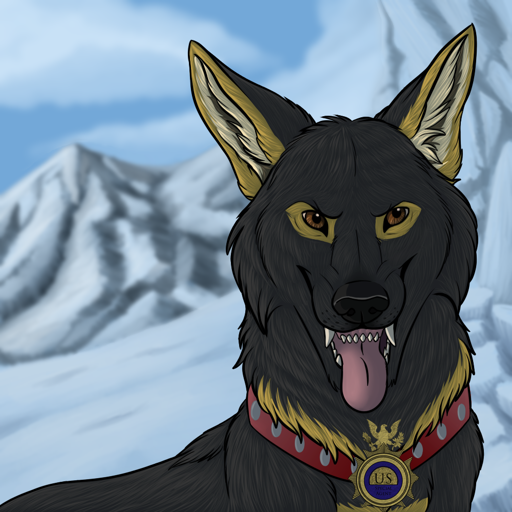 anthro badge canine collar dog fangs feral german german_shepherd government male mammal military mountain non police shepherd smaller_version_at_the_source snow star-gazer street street_(character)feral streetdog teeth tongue winter