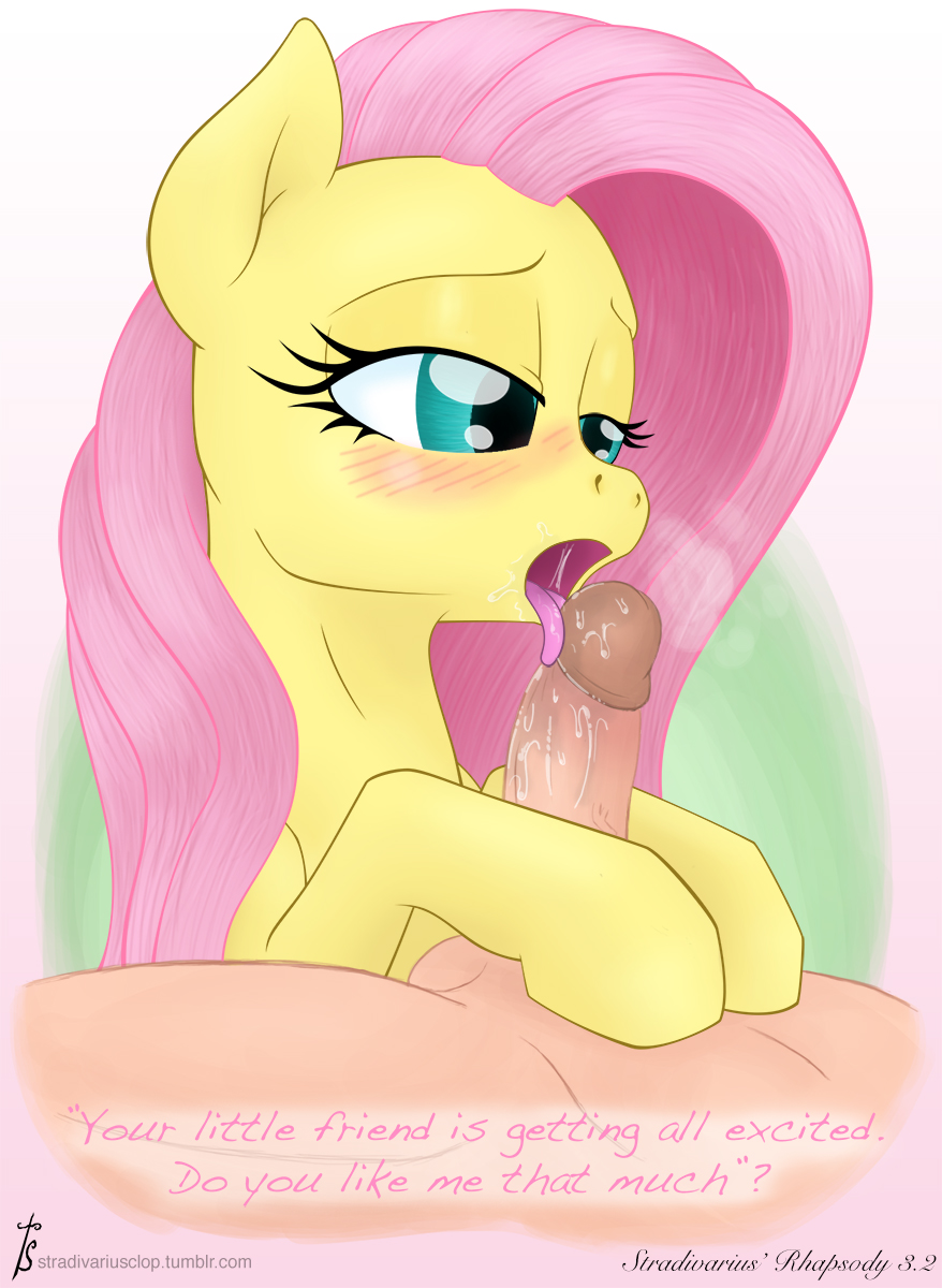 duo english_text equine faceless_male female feral fluttershy_(mlp) friendship_is_magic fur hair half-closed_eyes hi_res horse human male mammal my_little_pony open_mouth oral oral_sex penis pink_hair pony saliva sex stradivarius straight text tongue tongue_out yellow_fur