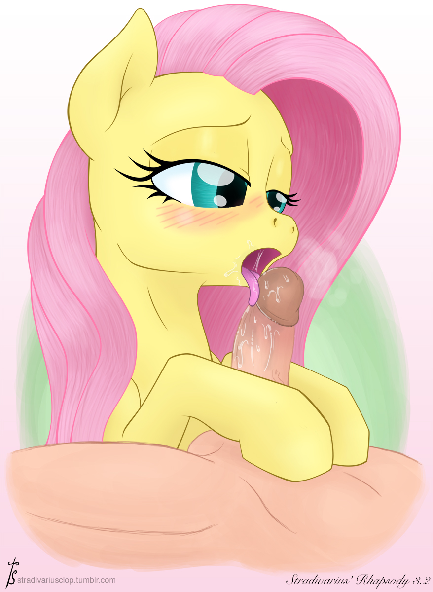 blush equine erection faceless_male female feral fluttershy_(mlp) friendship_is_magic horse human human_on_feral humanoid_penis interspecies male mammal my_little_pony oral oral_sex penis pony sex stradivarius straight
