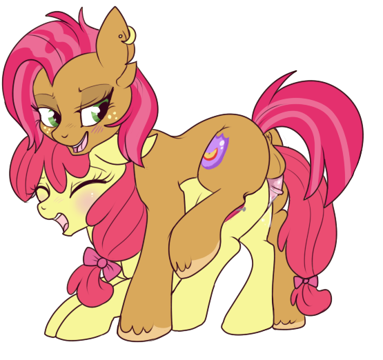 alpha_channel anus apple_bloom_(mlp) babs_seed_(mlp) balls blush brown_fur cutie_mark dickgirl dickgirl_on_female equine eyes_closed female freckles friendship_is_magic fur green_eyes hair horse incest intersex lulubell mammal my_little_pony older open_mouth penetration penis plain_background pony red_hair sex transparent_background two_tone_hair yellow_fur