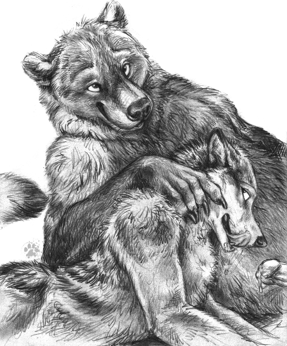 anthro bear blotch canine couple cum cum_in_mouth cum_inside cum_on_face duo gay male mammal monochrome oral oral_sex orgasm penis plain_background sex sketch tongue tongue_out white_background wolf