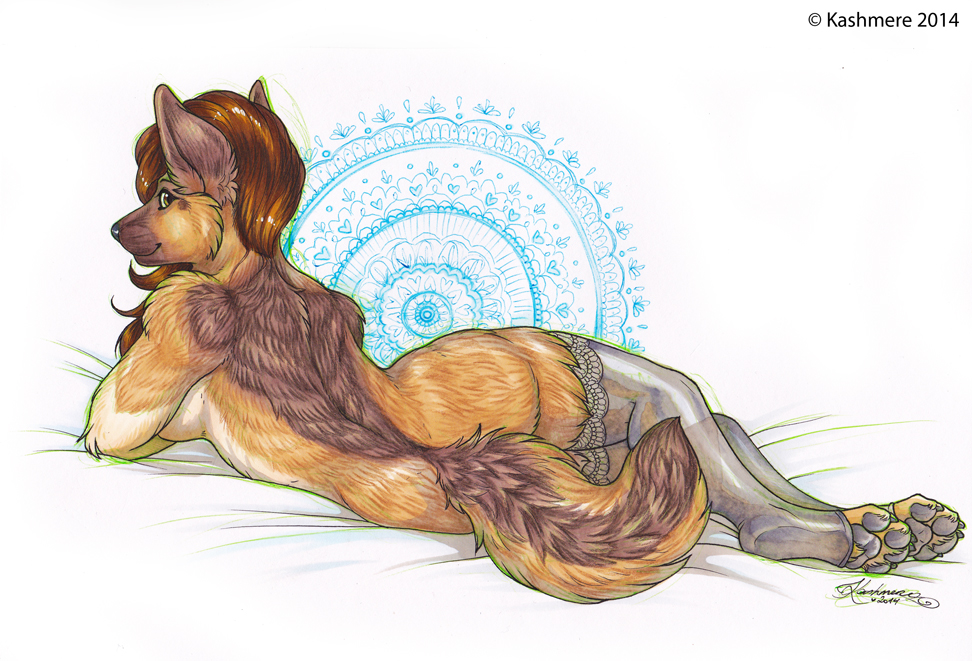 anthro back breasts canine digitigrade dog female german_shepherd hindpaw kashmere lace legwear looking_at_viewer looking_back lying mammal nude on_side pawpads paws pinup pose side_boob soles solo stockings toeless_socks toes