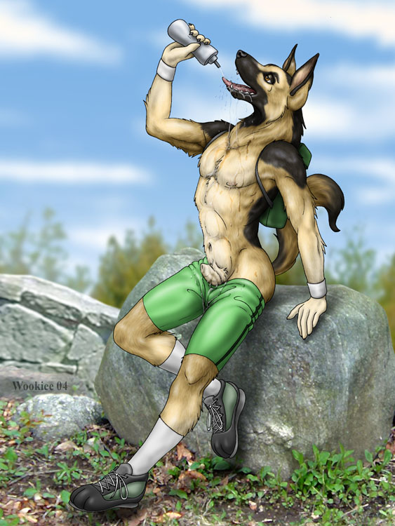 all_fours anthro arm_support balls black_nose blush canine clothing cloud dog erection female fur gay german_shepherd hair looking_at_viewer male mammal muscles navel nipples outside pecs penis rock shoes sky solo straight tails teeth tongue topless water wet wookiee_(artist)