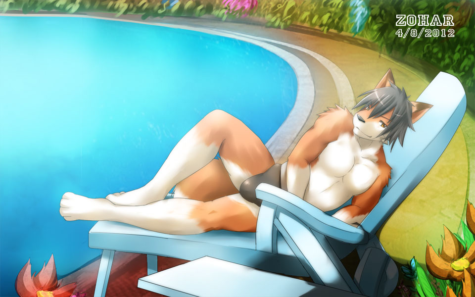 alty bulge canine fox looking_at_viewer male mammal pool solo speedo sunny swimsuit zoharwolf