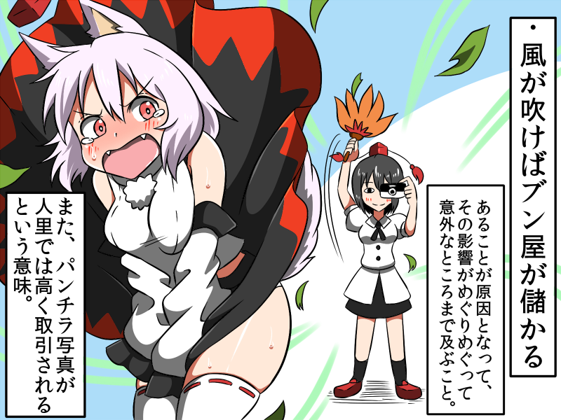 angry animal_ears assisted_exposure black_hair blush camera embarrassed fan fangs hat hauchiwa inubashiri_momiji leaf multiple_girls panties paparazzi partially_translated red_eyes shameimaru_aya shinori short_hair silver_hair skirt skirt_lift smile tail tears thighhighs tokin_hat touhou translation_request underwear wind wind_lift wolf_ears wolf_tail