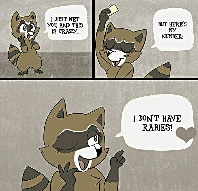 blush english_text female humor insane mammal raccoon text