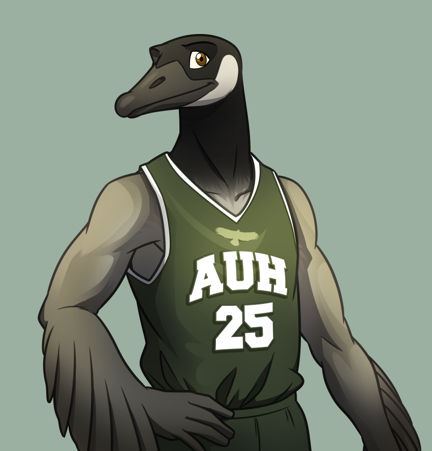 auh avian basketball beak biceps bird black_body brown_eyes clothing college edwin edwin_griega fba feathers goose grey_body grin hand_on_hip jersey male muscles pac pecs plain_background pose shirt shorts smile solo sport standing tank_top uniform vest