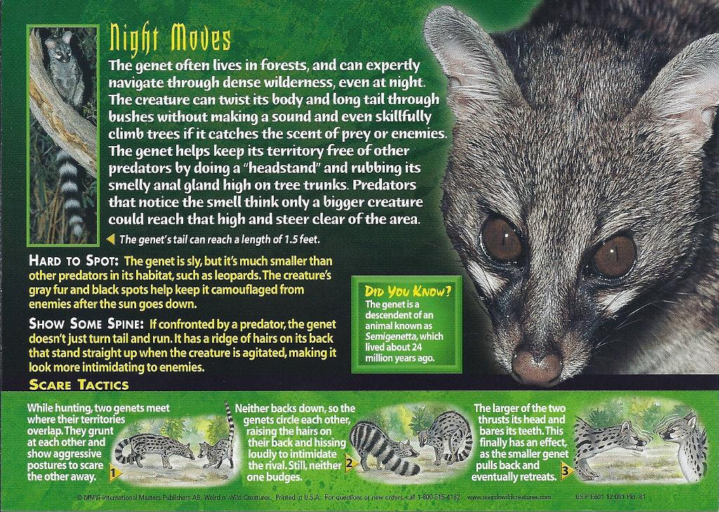 english_text feral fur genet looking_at_viewer mammal open_mouth sharp_teeth spots standing teeth text