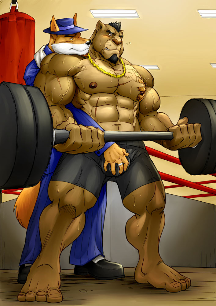 abs anthro barbell barefoot beard biceps big_muscles black_hair blush bodybuilder bodybuilding brown_fur bulge canine clothing don_leonardo duo facial_hair feline footwear fox fur gay grope hair hat jacket lion male mammal maxima muscles necklace nipples pants pec_grasp pecs pose ripped scar shoes shorts standing suit sweat tan_fur toned topless vein weightlifting weights white_fur wolf wolfplot