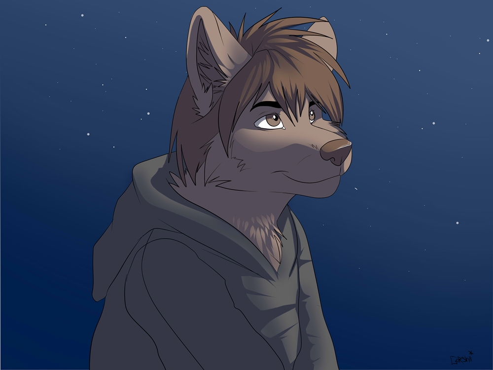 brown_fur brown_hair brown_nose canine chest_tuft clothed clothing fur gorsh_dolderan hair hood hoodie keidran light male mammal night outside robe short_hair sky solo stars tuft twokinds wolf zen_(twokinds)