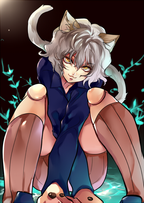 :3 animal_ears cat_ears cat_tail doll_joints hunter_x_hunter kneehighs long_sleeves neferpitou short_hair shorts silver_hair sitting solo tail yellow_eyes