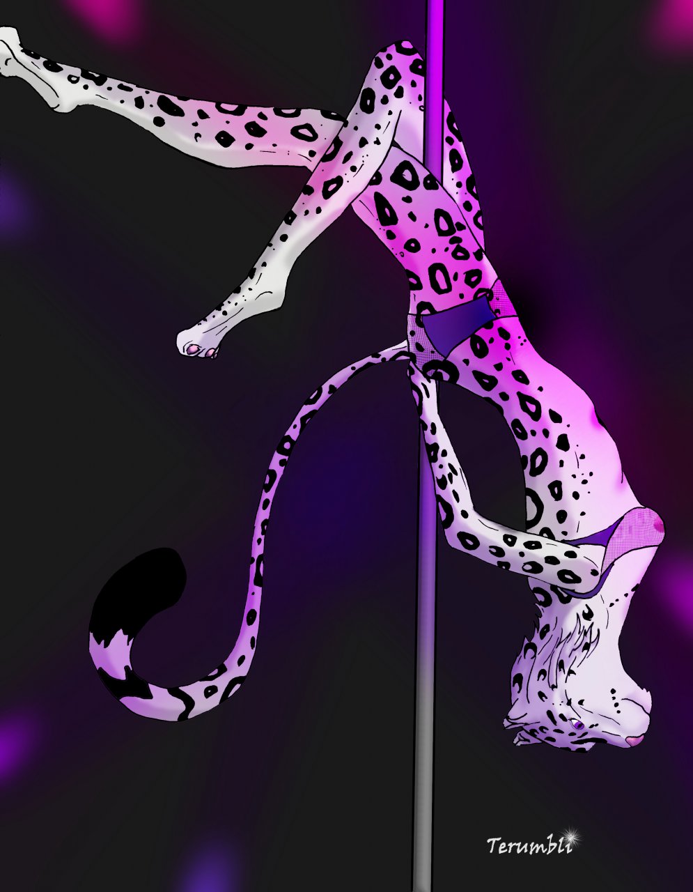 feline female leopard mammal neela_lightpaw pole pole_dancing snow_leopard terumbli
