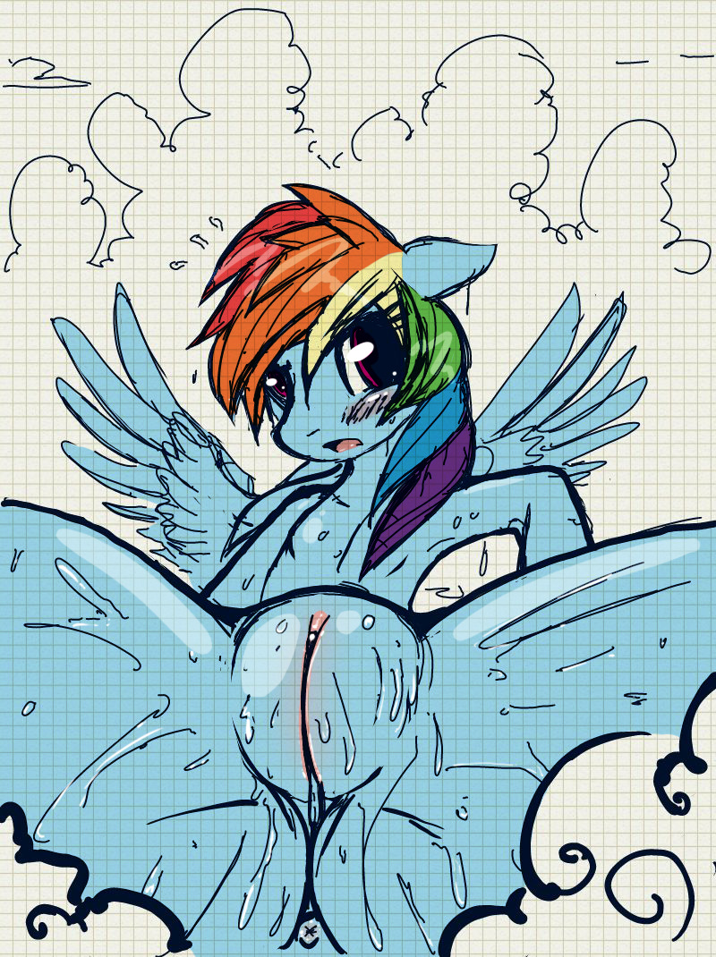 2014 anus equine female feral friendship_is_magic horse mammal mirapony my_little_pony pegasus pony pussy rainbow_dash_(mlp) solo wings
