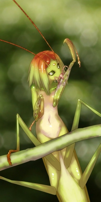 antennae arthropod cleaning female insect mandibles mantis multi_limb unknown_artist