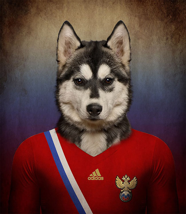 2014 anthro canine dog football husky male mammal russia russian siberian_husky solo