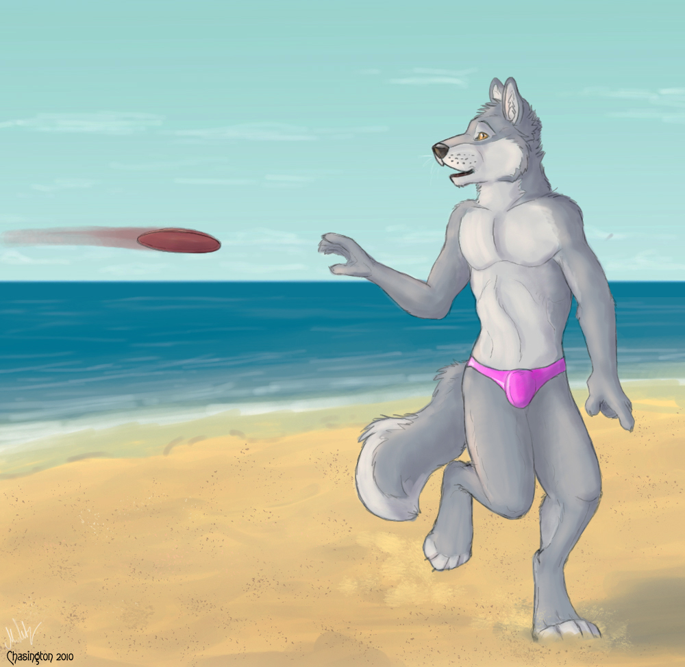 beach bulge canine canine_penis chasington frisbee fur grey_fur male mammal open_mouth penis pink_panties sand scantily_clad seaside skinny solo walking wolf yellow_eyes