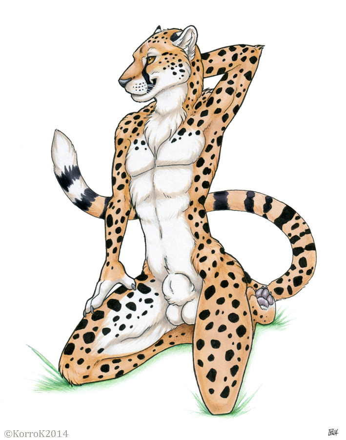 balls cheetah digidrag feline flaccid korrok male mammal nude penis plain_background sheath solo white_background