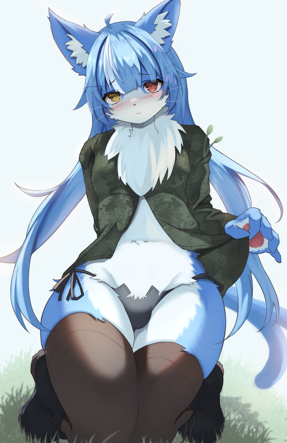 2023 ahoge an_chobi94 anthro blue_body blue_fur blue_hair blush boots bulge camo camo_clothing camo_print chest_tuft clothed clothing clothing_lift digital_media_(artwork) domestic_cat felid feline felis fluffy footwear forked_tail fur girly hair heterochromia hi_res japan_air_self-defense_force kemono kneeling legwear long_hair looking_at_viewer male male_anthro mammal multicolored_body multicolored_fur multicolored_hair omaneko_(jasdf) pattern_clothing solo tail thigh_highs translated_description tuft two_tone_body two_tone_fur underwear unusual_anatomy unusual_tail whiskers white_body white_fur white_hair