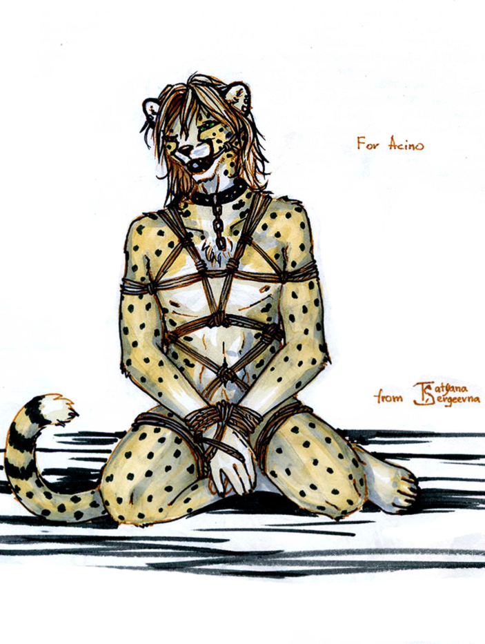 anthro ball_gag bdsm bondage bound cheetah collar feline gag male mammal nude rope rope_bondage solo ts-cat