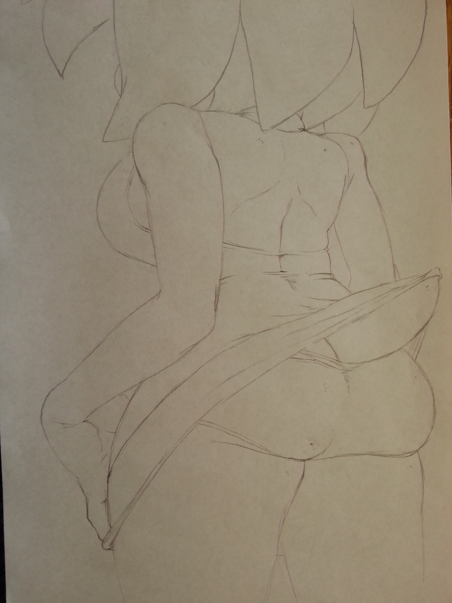 argento butt drawing female plain_background sega skirt skirt_lift sonic_(series) traditional_media