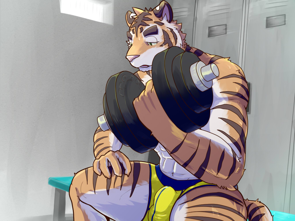 bulge feline locker_room male mammal muscles solo sum_kemono tiger underwear weightlifting weights workout
